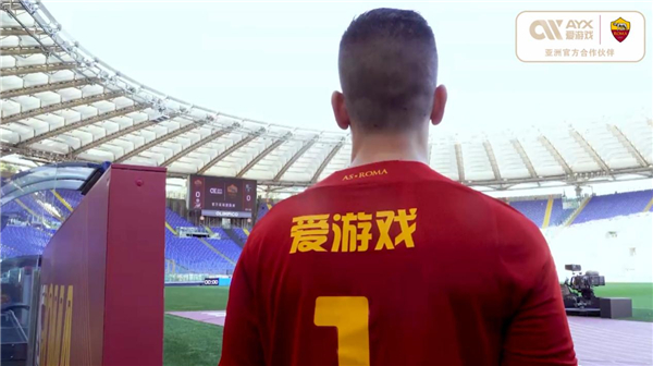 例以及对安