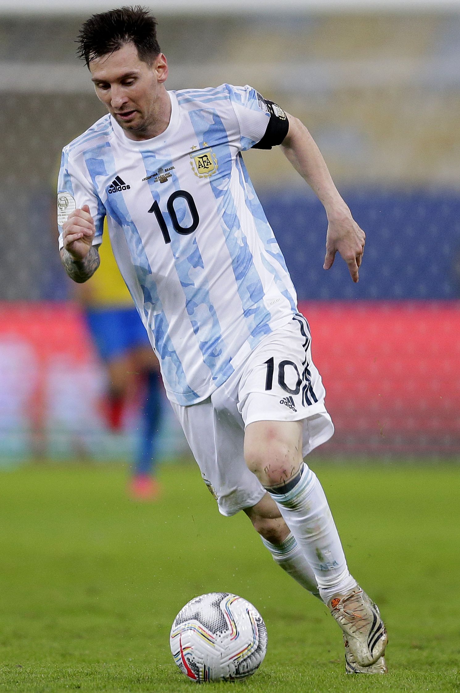 适应环境的 适应环境的