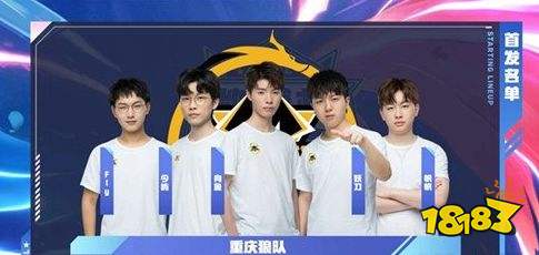 品效率服务